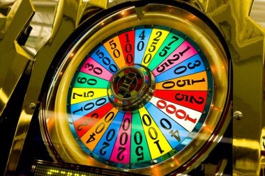 Spadegaming slot game interface displayed on koin555 casino platform